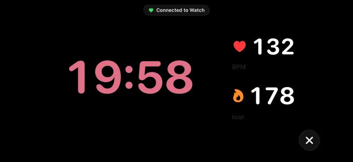 The full-screen live view